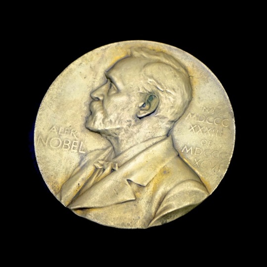 Nobel per l'economia 2024